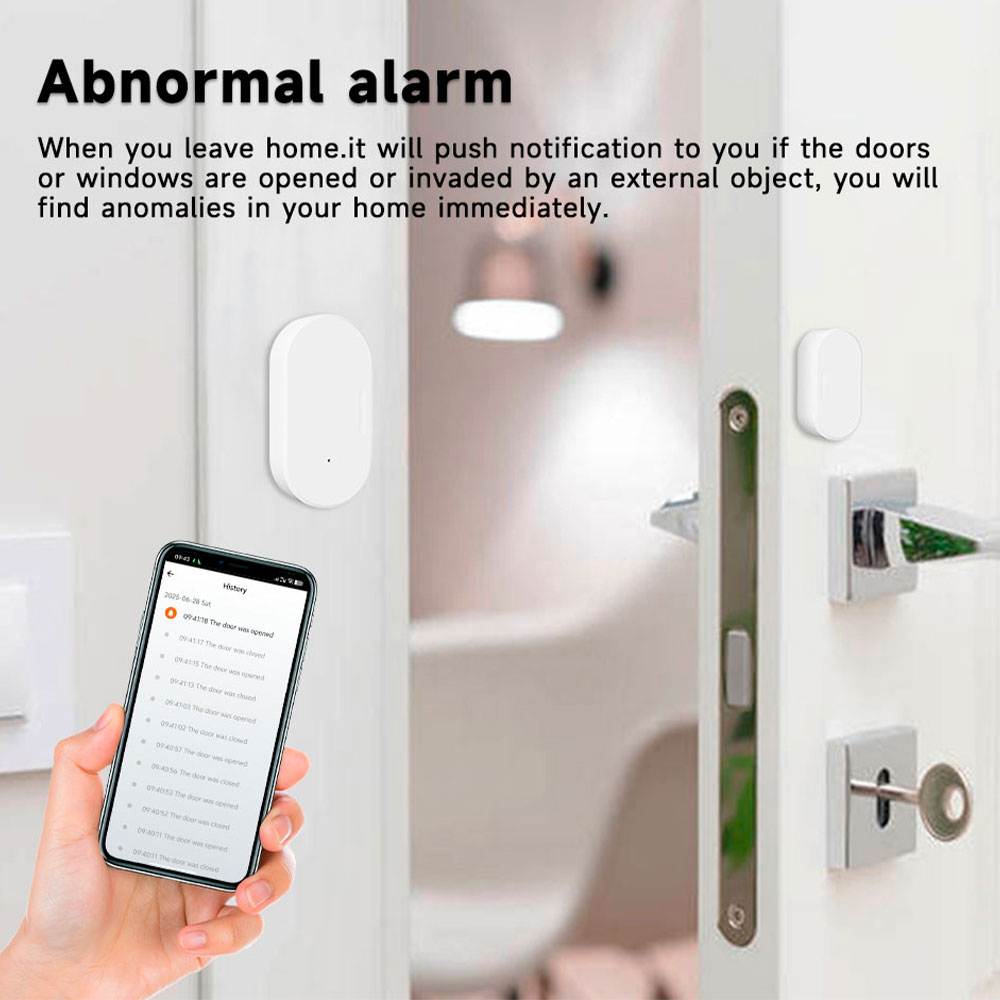 Zigbee 3.0 Z2MQTT deur-raamsen - Home Security Alexa recensie en prijs