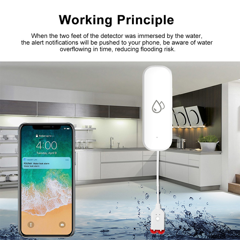 Tuya WiFi Waterlekkage Alarmse - Home Security Alexa recensie en prijs