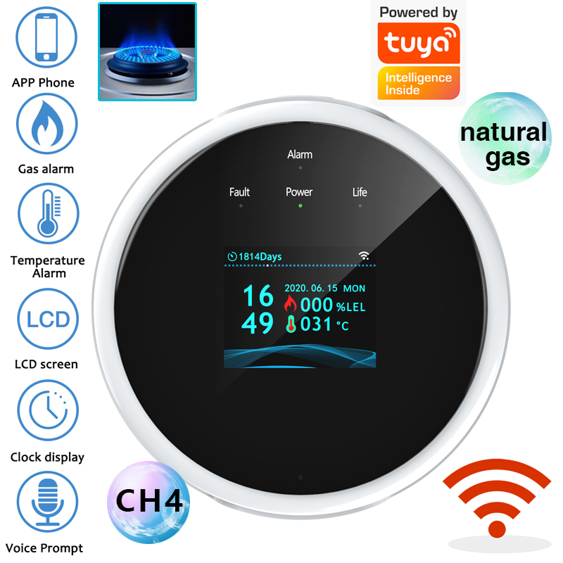 2.4G WiFi Gasalarmsensor Brand - Home Security Upgrades recensie en prijs