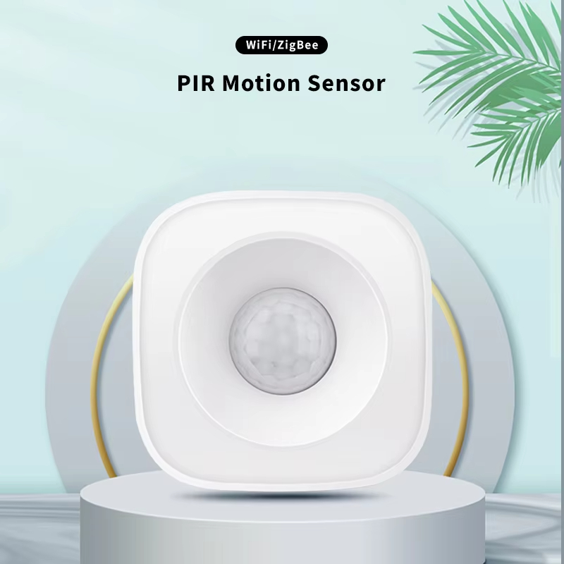 Tuya ZigBee/WiFi PIR Bewegings - Home Security Alexa recensie en prijs