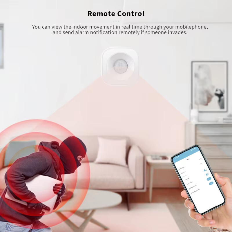 Tuya ZigBee/WiFi PIR Bewegings - Home Security Alexa recensie en prijs