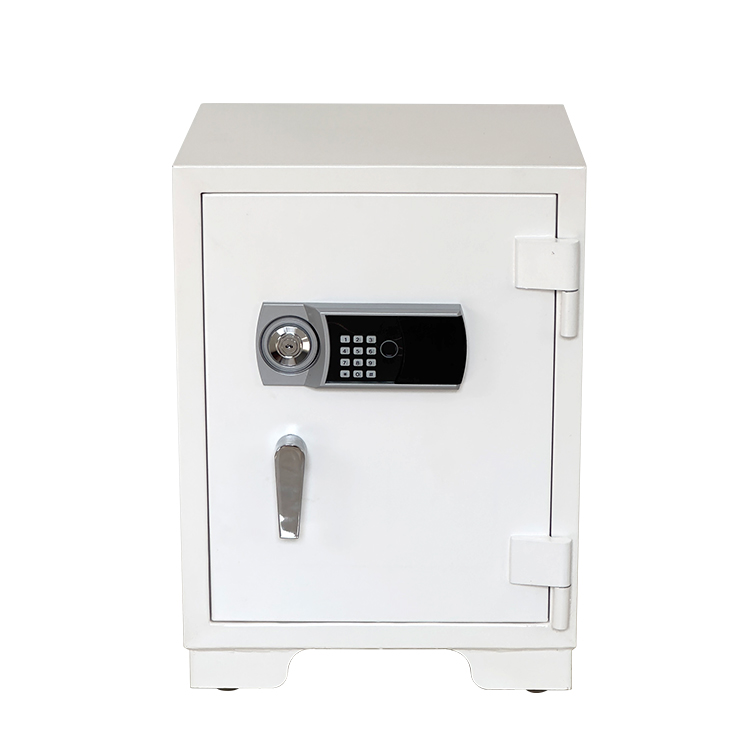 Bank Thuiskantoor Deposit Veil - Home Security Key Box recensie en prijs