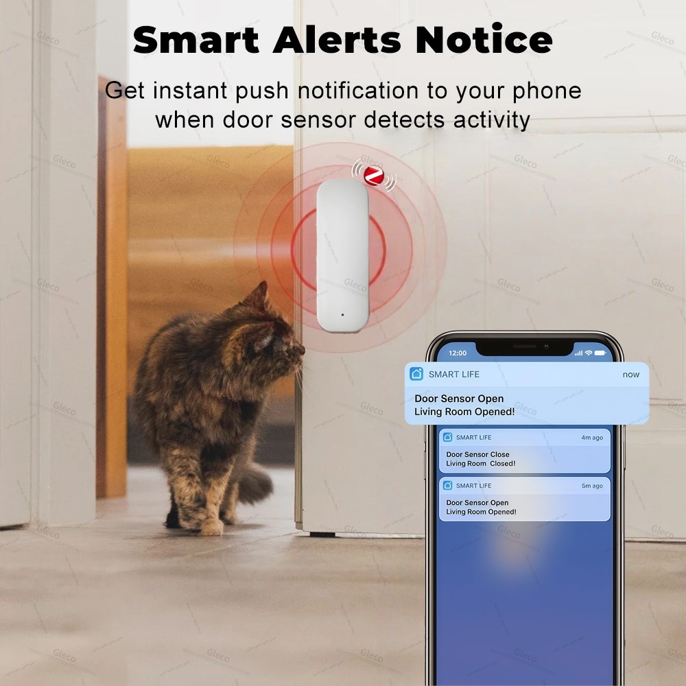 Tuya Zigbee Deur Raam Sensor A - Home Security Alexa recensie en prijs